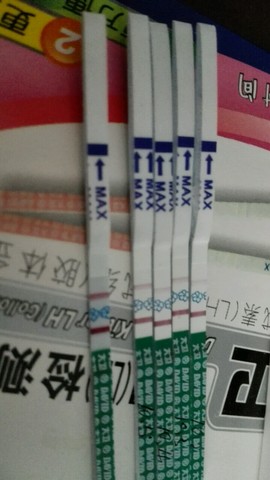 journal_insert_pic_310865467