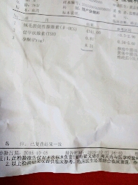journal_insert_pic_311200839