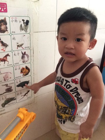 journal_insert_pic_311523119