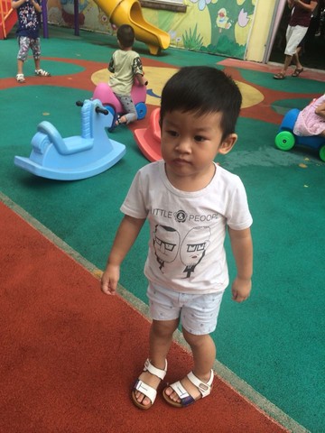 journal_insert_pic_311523109