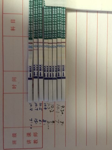 journal_insert_pic_312682140