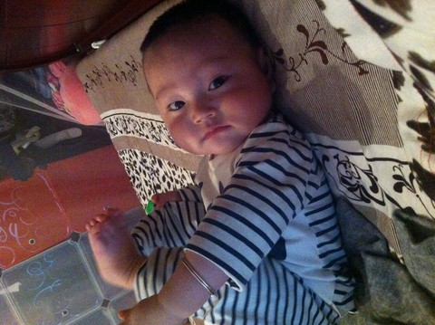 journal_insert_pic_313014160