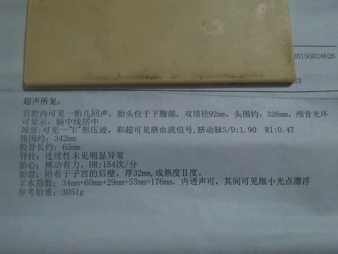 journal_insert_pic_313649458