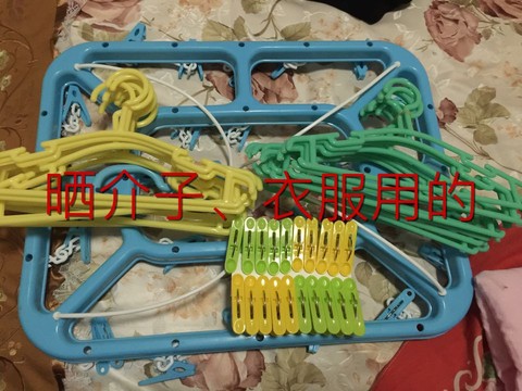 journal_insert_pic_314231666