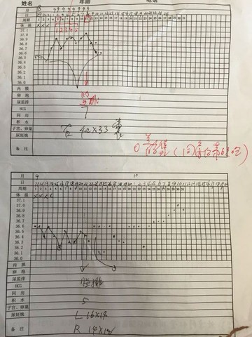 journal_insert_pic_314631702