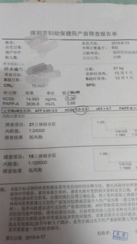 journal_insert_pic_315390994
