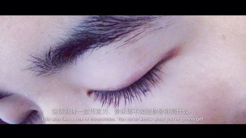 journal_insert_pic_316304935