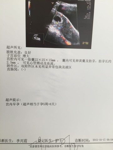 journal_insert_pic_318628920