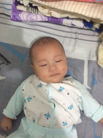 journal_insert_pic_318690283