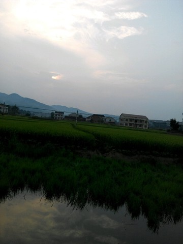 journal_insert_pic_320383131