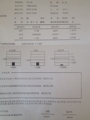 journal_insert_pic_320308667