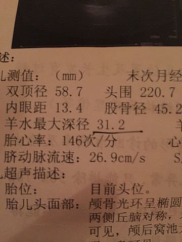 journal_insert_pic_320947511