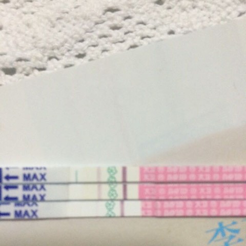 journal_insert_pic_321071617