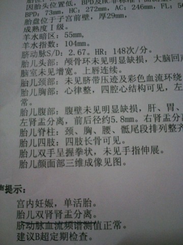 journal_insert_pic_320660343