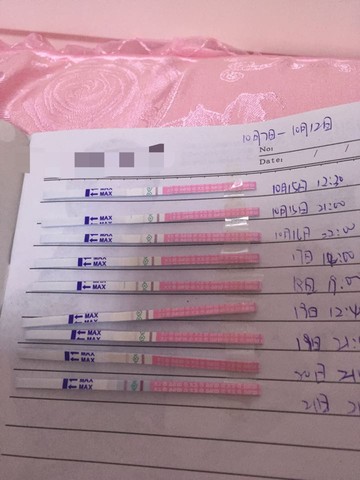 journal_insert_pic_321825082