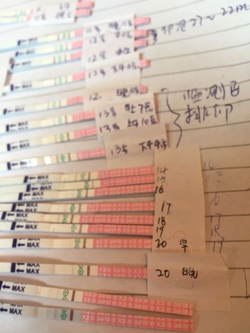 journal_insert_pic_321984248