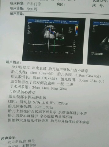 journal_insert_pic_322896392