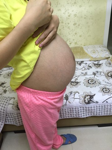 journal_insert_pic_323295126