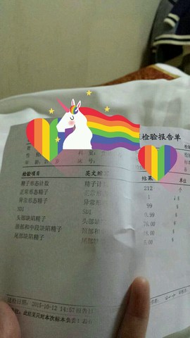 journal_insert_pic_323848328