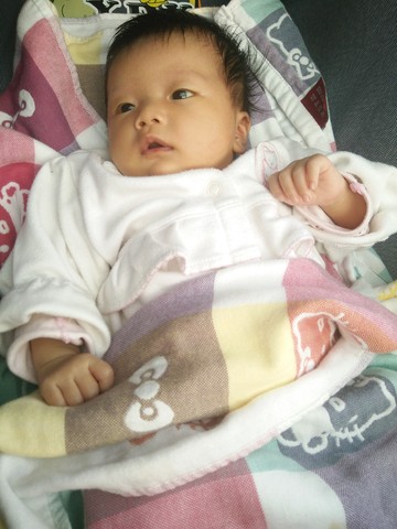 journal_insert_pic_325072152