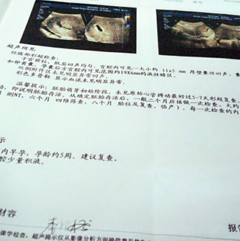 journal_insert_pic_325681053