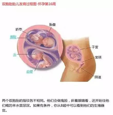 journal_insert_pic_325530469