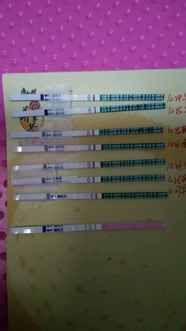 journal_insert_pic_325780836