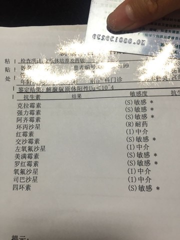 journal_insert_pic_326039456