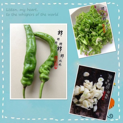 journal_insert_pic_327974331