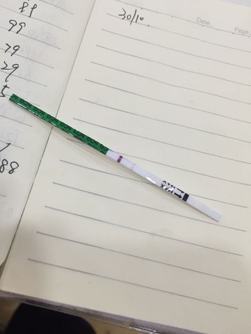 journal_insert_pic_327824441