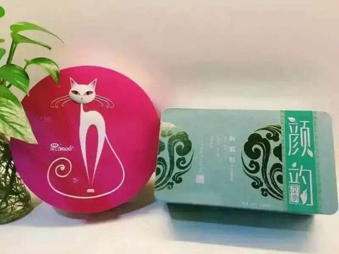 journal_insert_pic_329363997