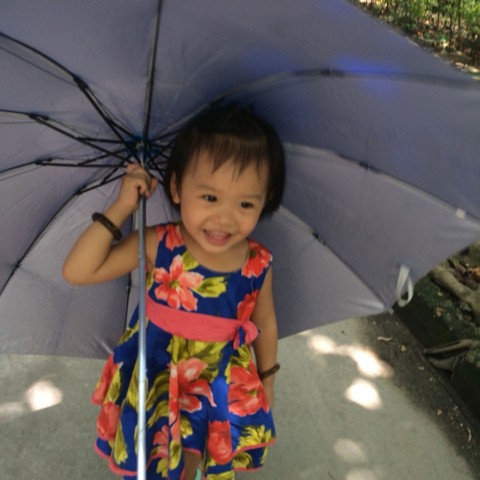 journal_insert_pic_329404123