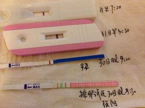 journal_insert_pic_329065684