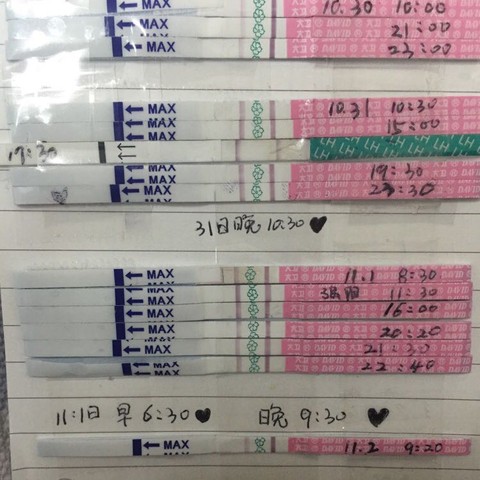 journal_insert_pic_329738517