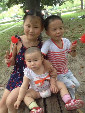 journal_insert_pic_330826121