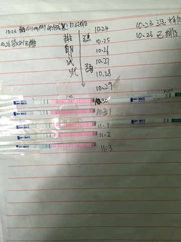 journal_insert_pic_330423316