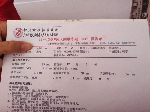 journal_insert_pic_331347597