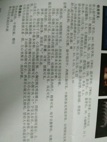 journal_insert_pic_335116024