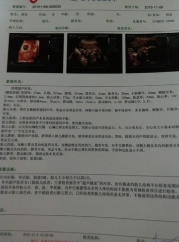 journal_insert_pic_334933131