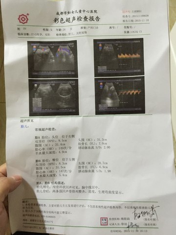 journal_insert_pic_335716535