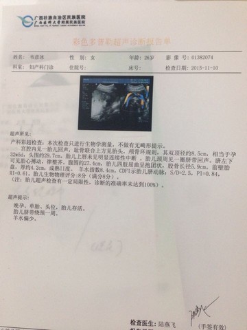 journal_insert_pic_335372153