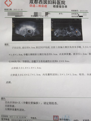 journal_insert_pic_335521158