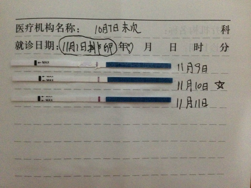 journal_insert_pic_335849034