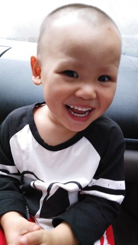 journal_insert_pic_336045307