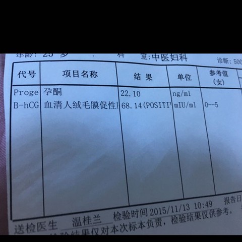 journal_insert_pic_337772592