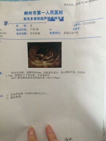 journal_insert_pic_339410575