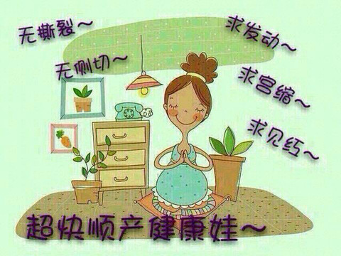 journal_insert_pic_338917967