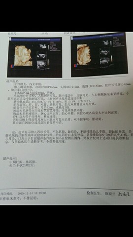 journal_insert_pic_340005041