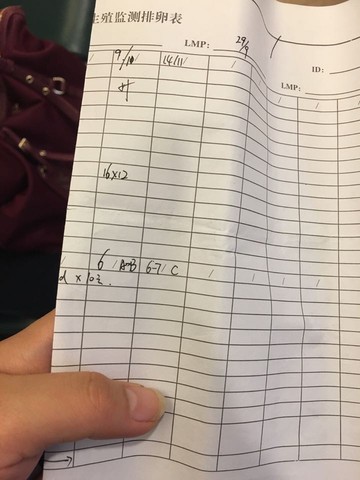 journal_insert_pic_339818059