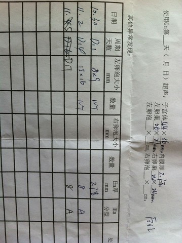 journal_insert_pic_340530517